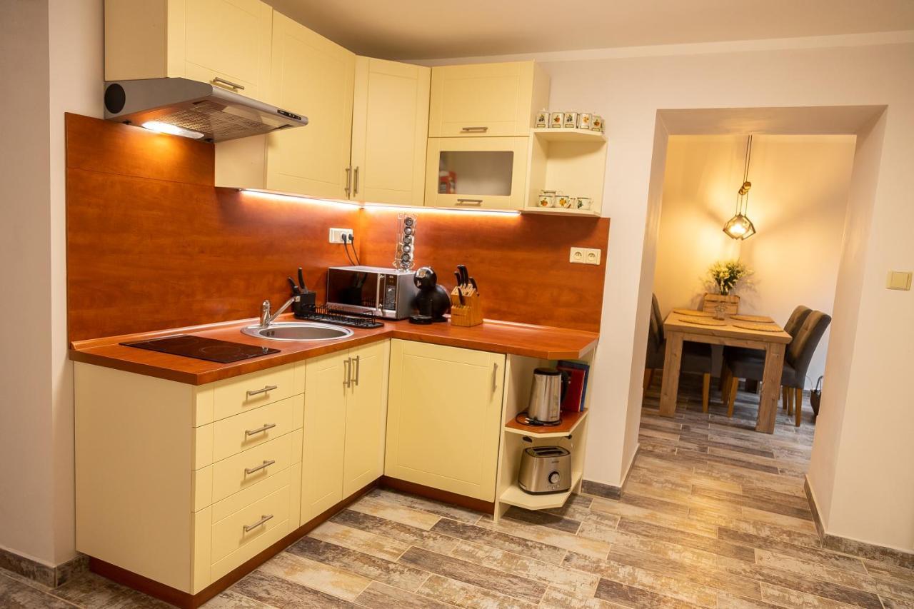 Prazdninovy Dum Valdik Villa Loket Dış mekan fotoğraf